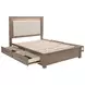Kenora Barley Brown Queen Upholstered Platform Storage Bed