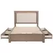 Kenora Barley Brown Queen Upholstered Platform Storage Bed