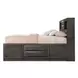 Ireland Gray Oak Queen Bookcase and Storage Bed