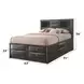 Ireland Gray Oak Queen Bookcase and Storage Bed
