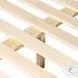 Emma Knoll Sand Performance Fabric King Upholstered Bed