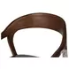 Amare Sonoma Coco Dining Armchair
