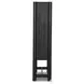 Ezri Black Oak 2 Door Cabinet