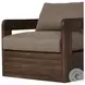 Jackson Ellor Brown Outdoor Swivel Chair