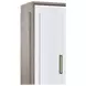 Lansing Cerused Gray and Silver 2 Door Tall Bar Cabinet