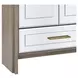 Lansing Cerused Gray and Silver 2 Door Tall Bar Cabinet