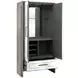 Lansing Cerused Gray and Silver 2 Door Tall Bar Cabinet