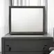 Naima Gray Rectangular Dresser Mirror