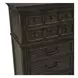 Paradise Valley Saddle Brown 10 Drawer Chesser