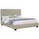 Chloe Oatmeal California King Upholstered Panel Bed