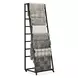 Ladder Black Display Rack with Casters