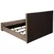 Senna Brown California King Upholstered Platform Bed with Audio Flame Visualizer