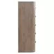 Bendfield Burnished Clay 5 Drawer Chest