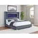 Tisdall Gray California King Upholstered Panel Bed with Flame Visualizer