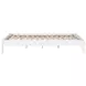 Hounslow White Queen Platform Bed