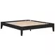 Hounslow Black Queen Platform Bed
