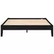 Hounslow Black Queen Platform Bed