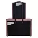 Reggie Pink Upholstered Arched Dresser Mirror