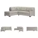 Mahoney Pebble 2 Piece LAF Chaise Sleeper Sectional