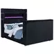 Tisdall Black Queen Upholstered Panel Bed with USB Charging and Hidden TV Mount