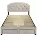 Marianna Cream Queen Upholstered Platform Bed with Storage and Nailhead Trim