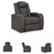 Fyne Dyme Shadow Power Recliner with Adjustable Headrest
