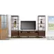 Autumn Echo Dark Brown 64" TV Stand with 2 Storage Drawers