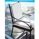 Pavlova Black and White Performance Fabric Outdoor Arm Chair