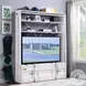 Cargo White 2 Door Bookcase with Ladder