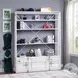 Cargo White 2 Door Bookcase with Ladder