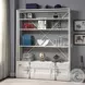 Cargo White 2 Door Bookcase with Ladder
