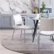 Ace White And Brushed Stainless Steel Dining Chair Set Of 2