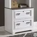 Allyson Park Wirebrushed White Executive Home Office Set