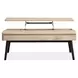 Craftsman Ridge Driftwood and Black Rectangular Lift Top Occassional Table Set