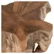 Cypress Natural Free Form End Table