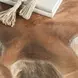 Cypress Natural Free Form End Table