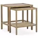 Devin Khaki Mist Rectangular Nesting Accent Table