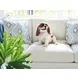 Shaws Cove White Upholstered 106" Sofa