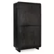Albero Black 2 Door Tall Accent Cabinet
