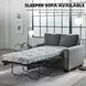 Rannis Pewter Twin 54" Sofa Sleeper