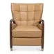 Alastair Westbury Brown Leather Upholstered Accent Chair