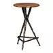 Pewter Leaf Brown Round Planter's Table