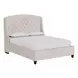 Curated Beige and Graphite Queen Upholstered Panel Halston Bed with Nailhead Trim