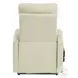 Ricardo Beige Synthetic Leather Power Recliner with Lift