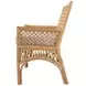 Antigua Natural 42" Dining Bench