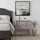 Ginny Gray Smoke 2 Drawer Accent Chest