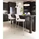 Ace White And Brushed Stainless Steel Counter Chair Set Of 2