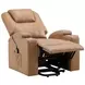 Armstrong Camel Power Lift Massage Recliner 