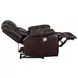 Sycamore Dark Brown Power Recliner
