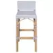 Serienna White and Gray Bar Stool